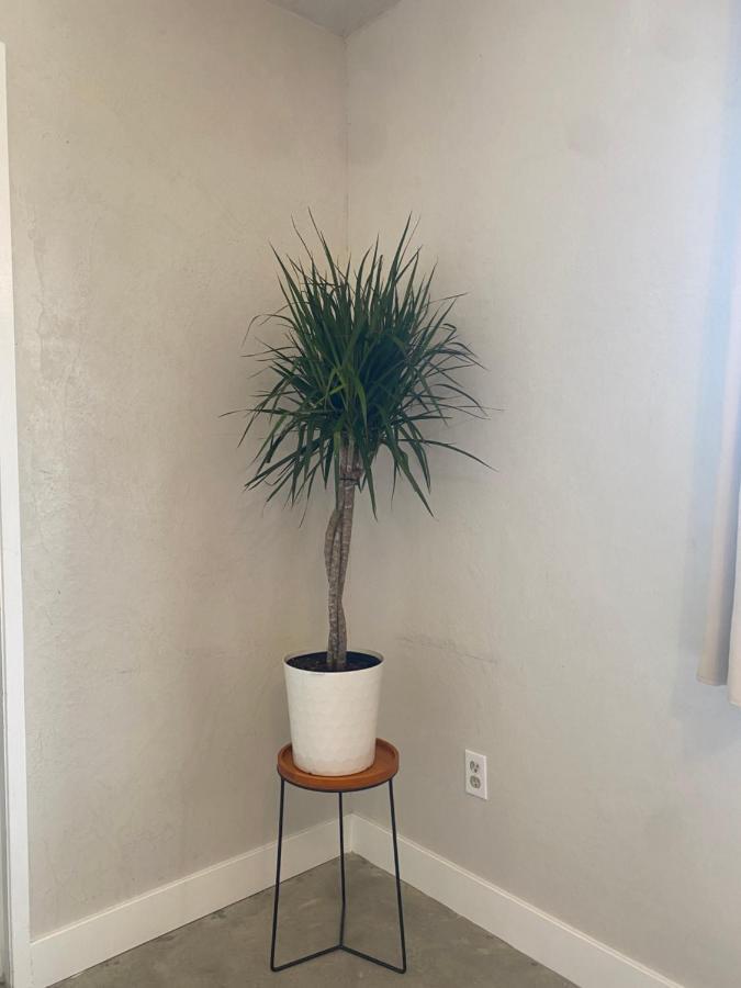 Casa Del Desierto - Panoramic Views - Pet Friendly - Fire Pit Villa Joshua Tree Exterior photo